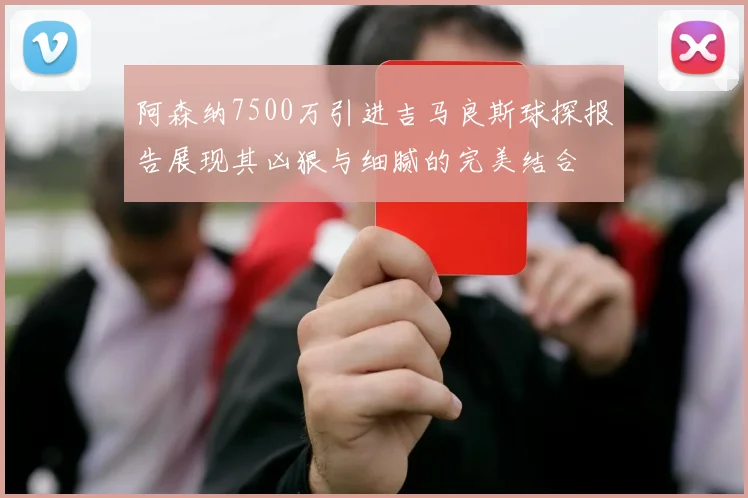 阿森纳7500万引进吉马良斯球探报告展现其凶狠与细腻的完美结合
