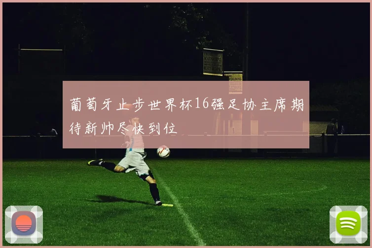 葡萄牙止步世界杯16强足协主席期待新帅尽快到位