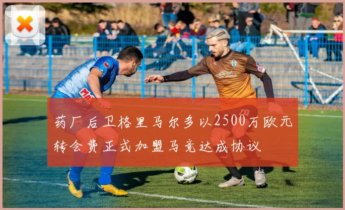 药厂后卫格里马尔多以2500万欧元转会费正式加盟马竞达成协议