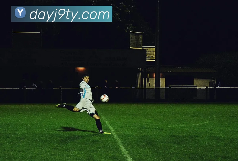 九游会APP 封面图